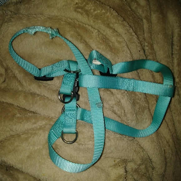 Harness - Picture 2 of 3